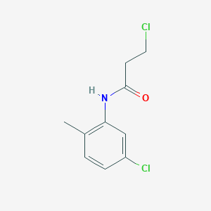 3-Chloro-N-(5-chloro-2-methylphenyl)propanamide